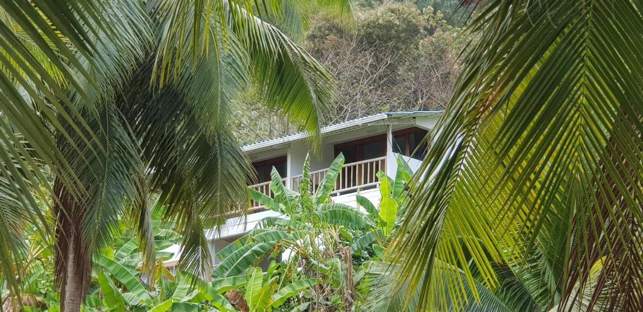 Vista Caribe Hotel Portobelo Buitenkant foto